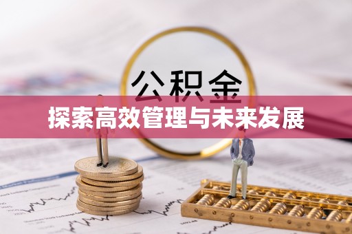 皇姑探索高效管理与未来发展