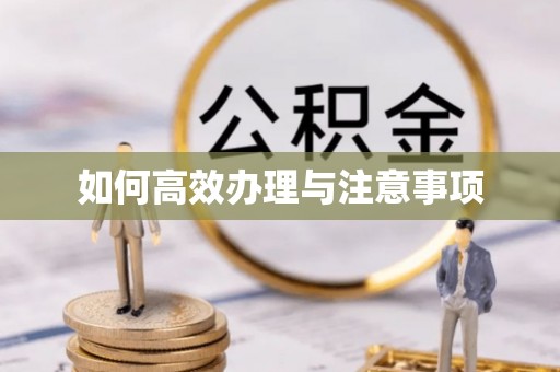 皇姑如何高效办理与注意事项
