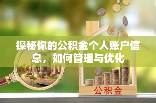 皇姑探秘你的公积金个人账户信息，如何管理与优化