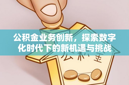 皇姑公积金业务创新，探索数字化时代下的新机遇与挑战