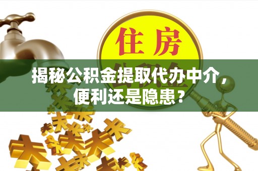 皇姑揭秘公积金提取代办中介，便利还是隐患？