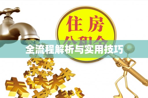 皇姑全流程解析与实用技巧