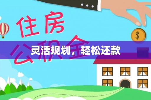 皇姑灵活规划，轻松还款