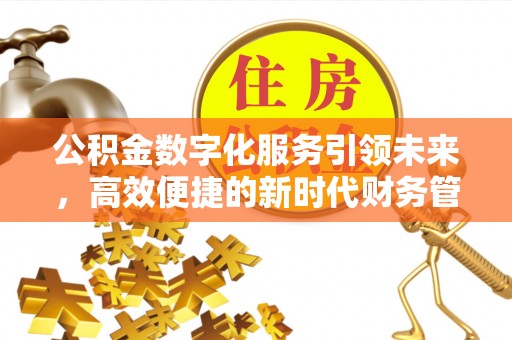 皇姑公积金数字化服务引领未来，高效便捷的新时代财务管理
