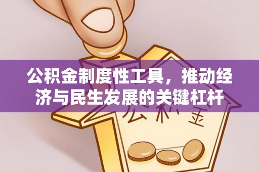 皇姑公积金制度性工具，推动经济与民生发展的关键杠杆