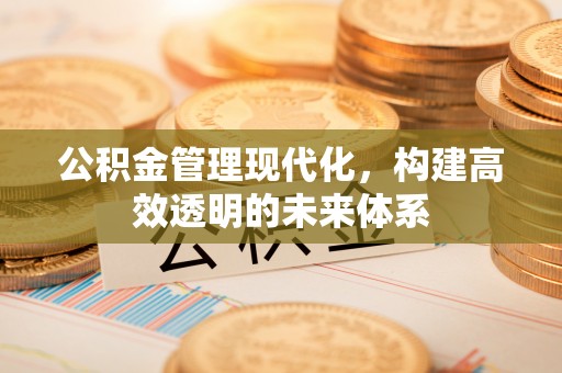 皇姑公积金管理现代化，构建高效透明的未来体系