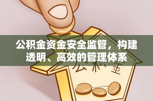 皇姑公积金资金安全监管，构建透明、高效的管理体系