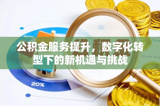 皇姑公积金服务提升，数字化转型下的新机遇与挑战