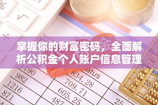 皇姑掌握你的财富密码，全面解析公积金个人账户信息管理与优化