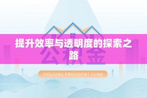 皇姑提升效率与透明度的探索之路