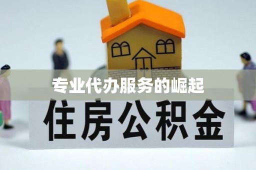 皇姑专业代办服务的崛起