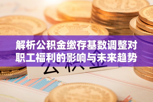 皇姑解析公积金缴存基数调整对职工福利的影响与未来趋势