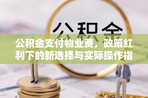 皇姑公积金支付物业费，政策红利下的新选择与实际操作指南