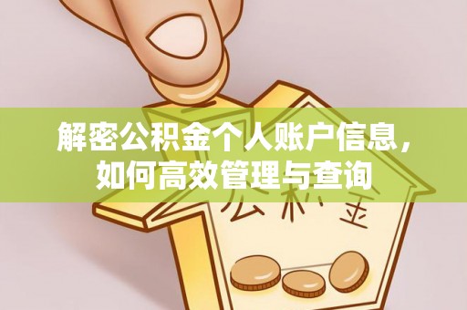 皇姑解密公积金个人账户信息，如何高效管理与查询