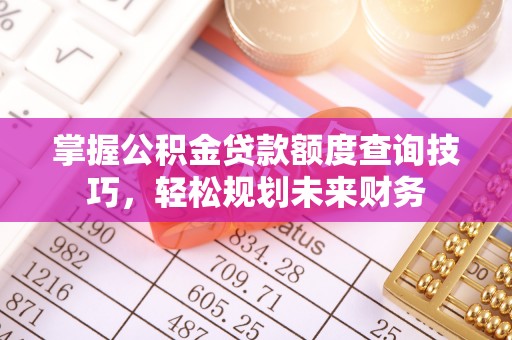 皇姑掌握公积金贷款额度查询技巧，轻松规划未来财务