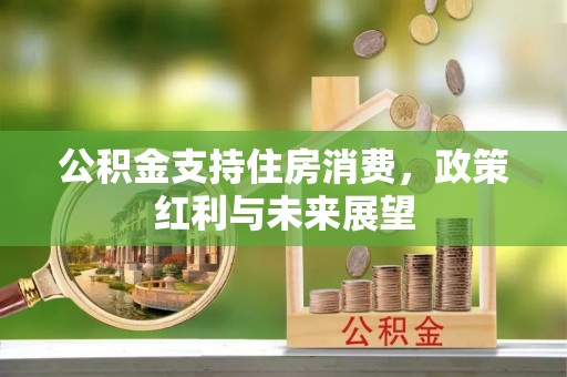 皇姑公积金支持住房消费，政策红利与未来展望