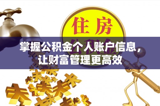 皇姑掌握公积金个人账户信息，让财富管理更高效
