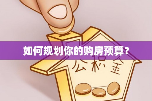 皇姑如何规划你的购房预算？