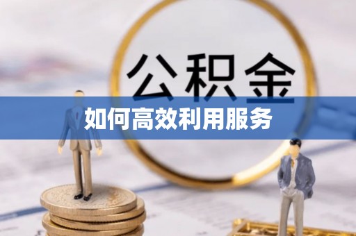 皇姑如何高效利用服务