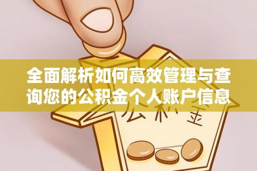 皇姑全面解析如何高效管理与查询您的公积金个人账户信息