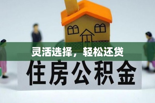 皇姑灵活选择，轻松还贷