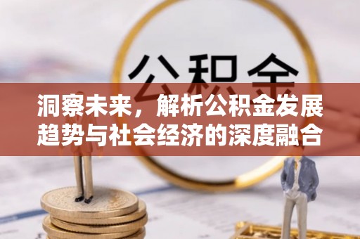 皇姑洞察未来，解析公积金发展趋势与社会经济的深度融合