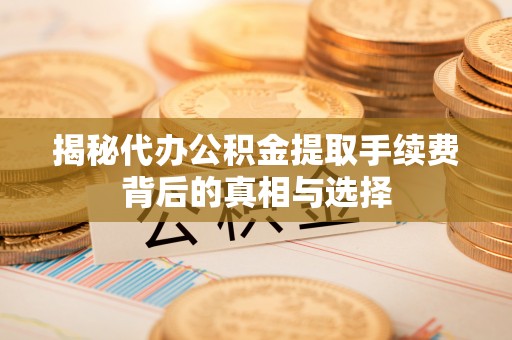 皇姑揭秘代办公积金提取手续费背后的真相与选择