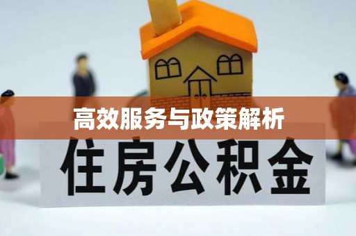 皇姑高效服务与政策解析