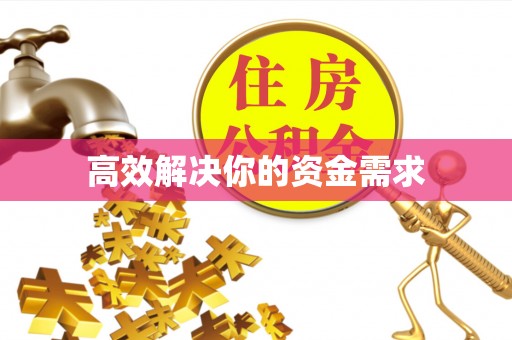 皇姑高效解决你的资金需求