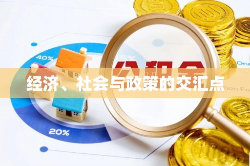 皇姑经济、社会与政策的交汇点