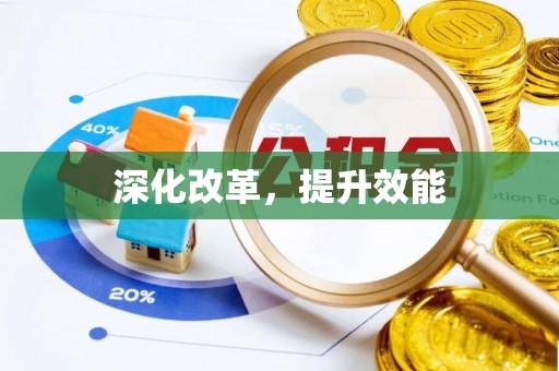 皇姑深化改革，提升效能