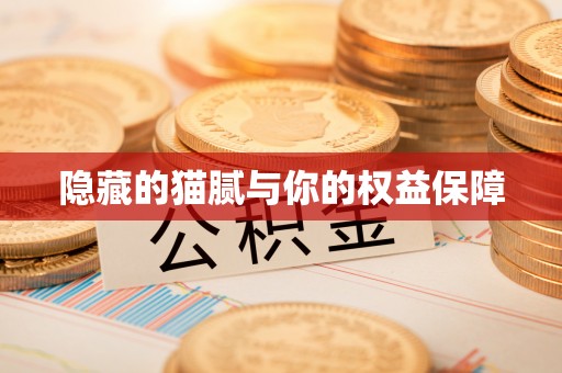 皇姑隐藏的猫腻与你的权益保障