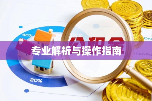 皇姑专业解析与操作指南