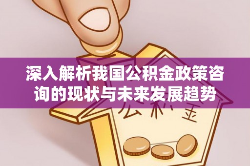皇姑深入解析我国公积金政策咨询的现状与未来发展趋势