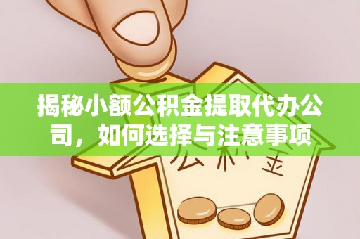 皇姑揭秘小额公积金提取代办公司，如何选择与注意事项