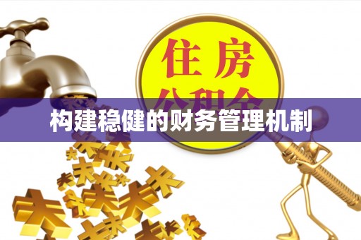 皇姑构建稳健的财务管理机制