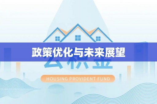 皇姑政策优化与未来展望