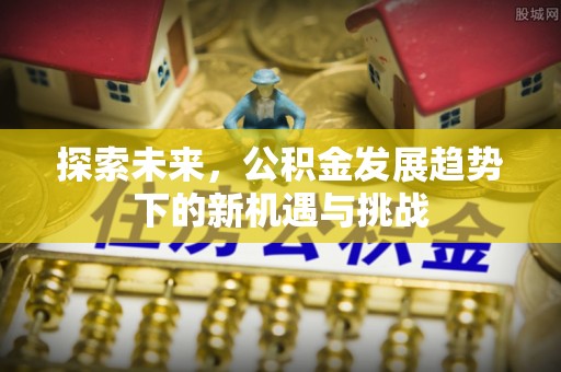 皇姑探索未来，公积金发展趋势下的新机遇与挑战