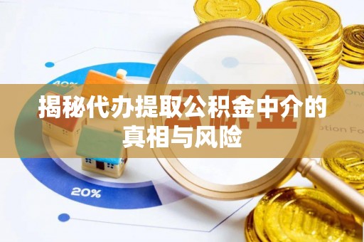 皇姑揭秘代办提取公积金中介的真相与风险