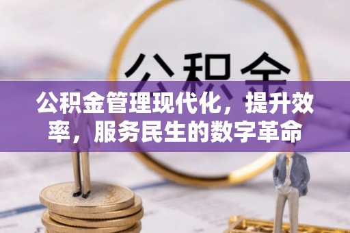 皇姑公积金管理现代化，提升效率，服务民生的数字革命