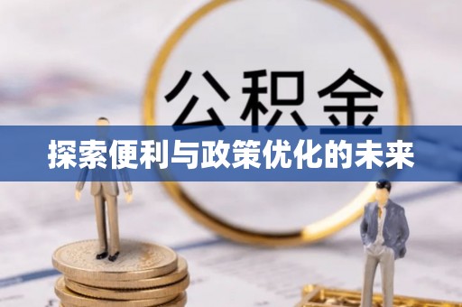 皇姑探索便利与政策优化的未来