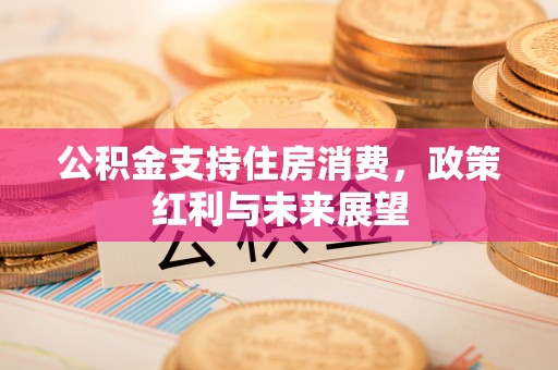 皇姑公积金支持住房消费，政策红利与未来展望