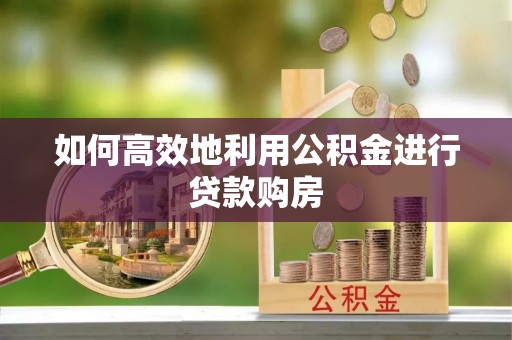皇姑如何高效地利用公积金进行贷款购房