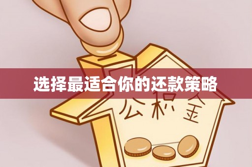 皇姑选择最适合你的还款策略