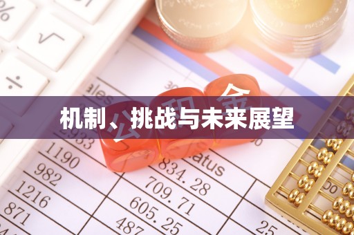 皇姑机制、挑战与未来展望